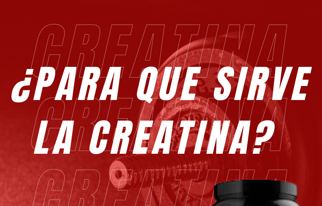 ¿Para que sirve la Creatina? ¿Para que sirve la creatina en el cuerpo?