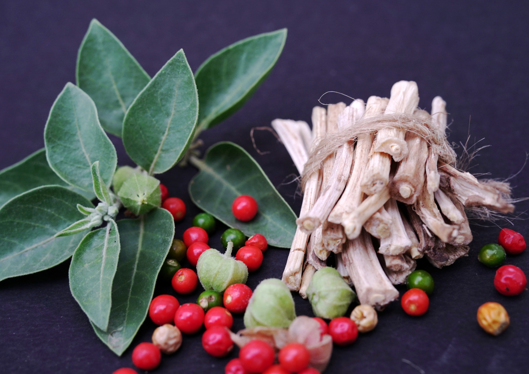 Ashwagandha para que sirve
